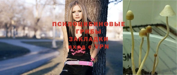 прущая мука Михайловск
