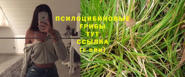 прущая мука Михайловск