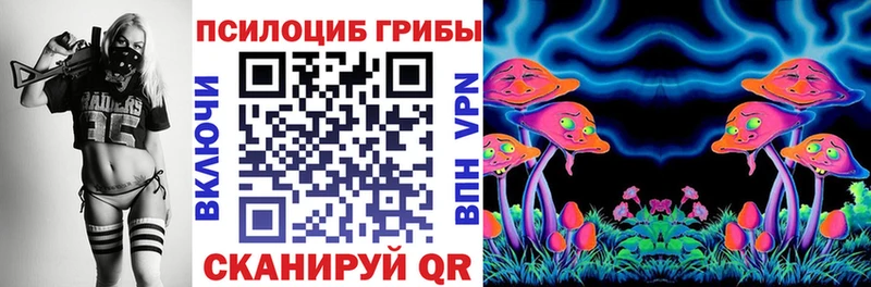Псилоцибиновые грибы прущие грибы  купить закладку  Шенкурск 