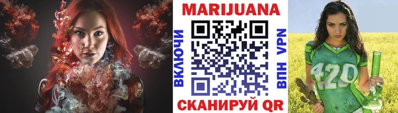 Каннабис план  ОМГ ОМГ как зайти  Шенкурск 
